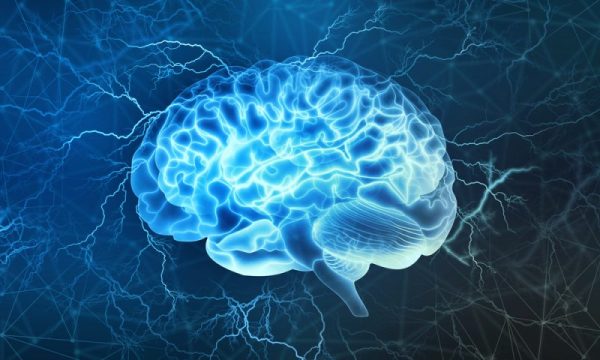 Seminário 1 — Introdução ao Sistema Nervoso (N2-M2)