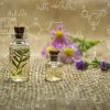 Sinergias Aromáticas & Técnicas de Formulação | Curso