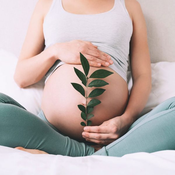 Mulher grávida sentada com folhas verdes sobre a barriga representando aromaterapia clínica na gravidez e preparação para o parto