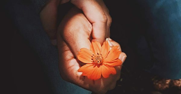 Aromaterapia no Luto e Cuidados Paliativos | Seminário